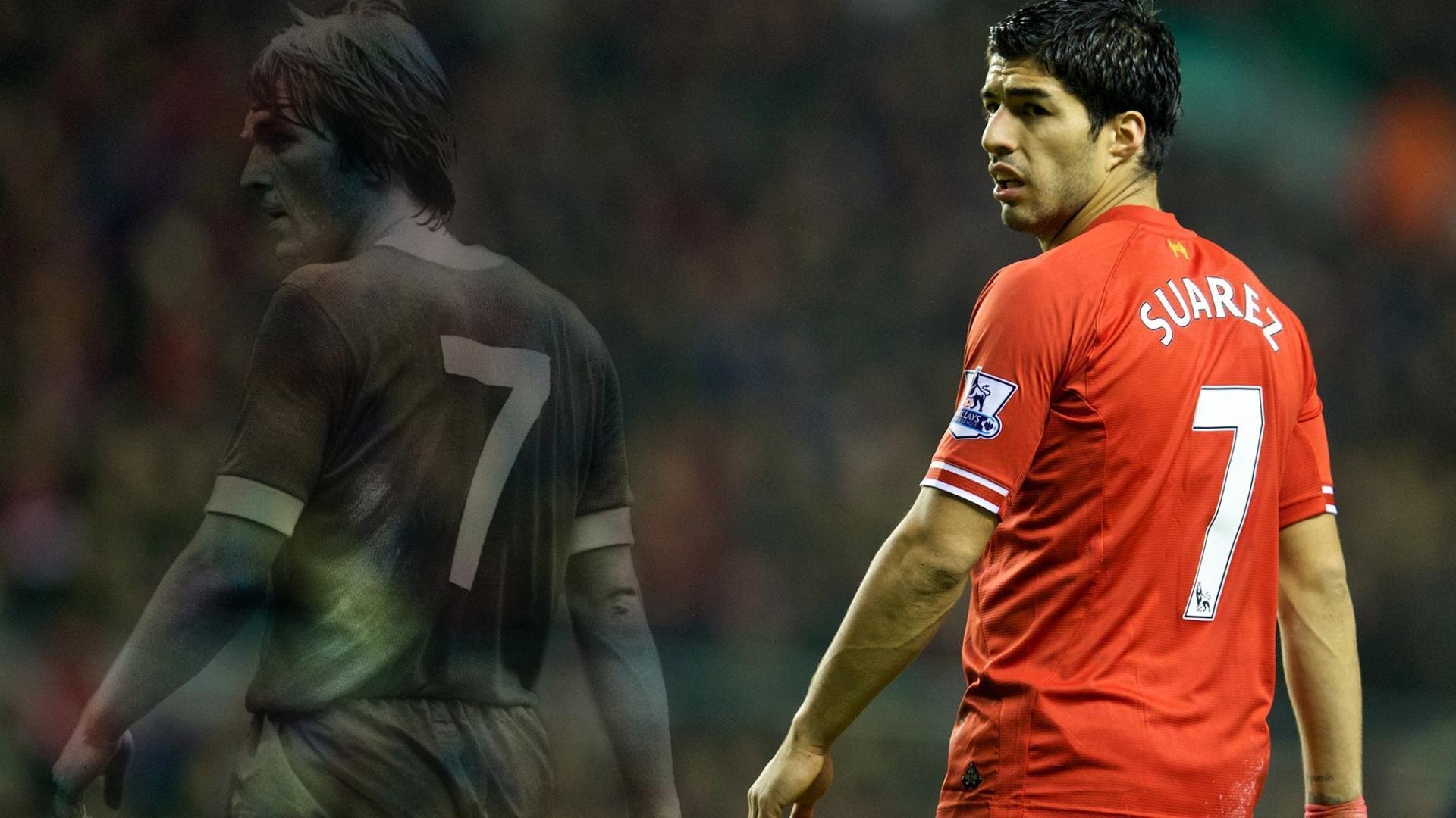 国家级足球文化节逐步成为城市体育文化品牌,足球文化节活动有哪些