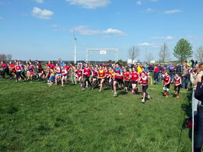 开云入口-青少年体育社团活动对身心发展的促进作用，体育社团对学生的影响